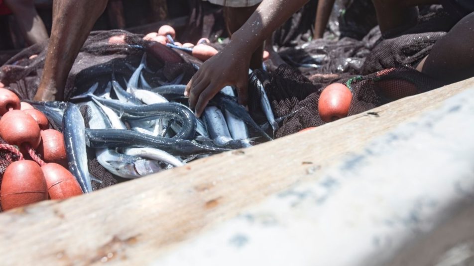 Próbál tenni az afrikai illegális halászat ellen az EU