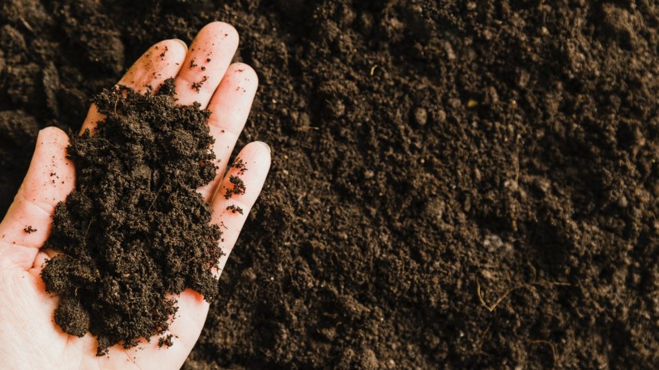 Ami nélkül nincs élet: ma van a talaj világnapja