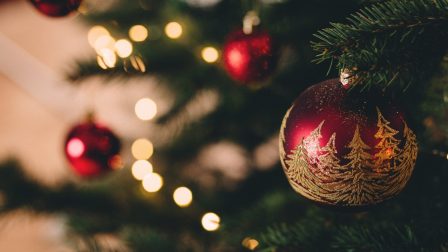Budapesten nem vész kárba a kidobott karácsonyfa – ígéri az FKF