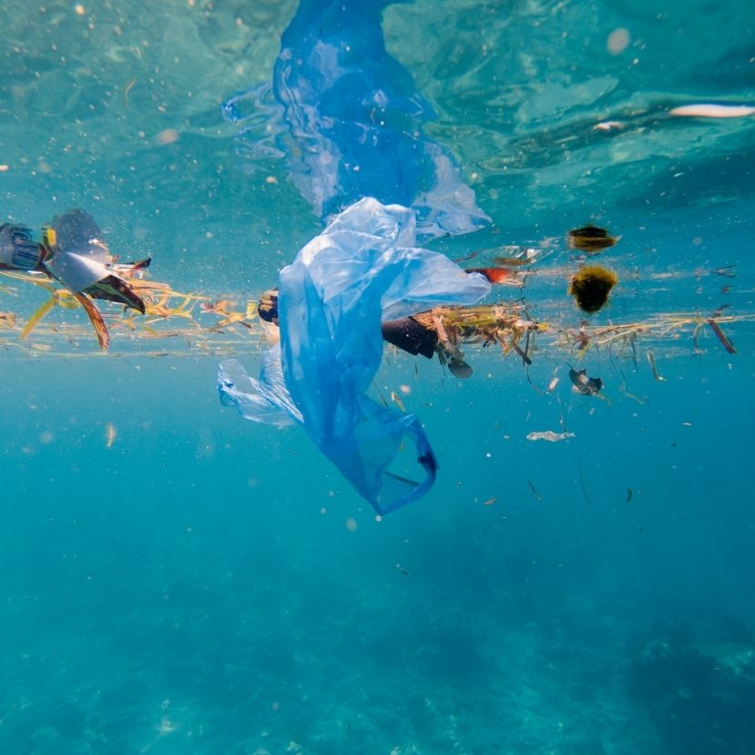 Újrahasznosított óceáni műanyagot használ az Adidas és a Prada új közös kollekciója
