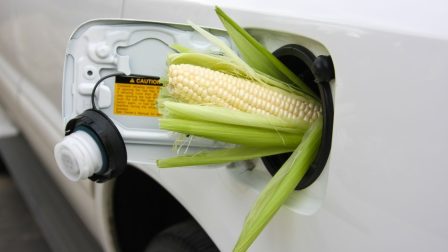 A kukorica alapú etanolt távolról sem lehet tiszta üzemanyagnak nevezni