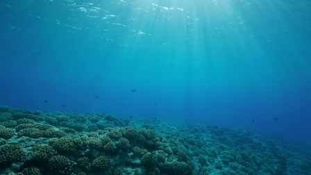 Az óceánfenékről származó üledékmagok 23 millió éves klímaváltozási nyomokat rejtenek