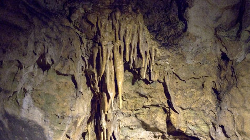 Tudtad, hogy március a Barlangok Hónapja lesz idén?