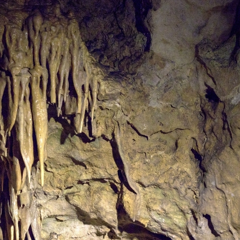 Tudtad, hogy március a Barlangok Hónapja lesz idén?