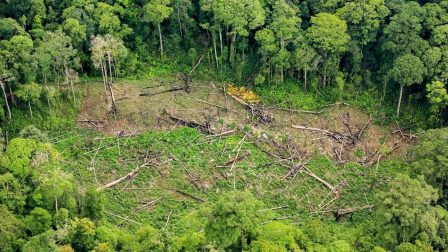 Rekordon az Amazonas pusztítása január után februárban is