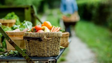 Farmtól az asztalig: a hazai kistermelők terményeinek piacra jutását segíti egy új összefogás