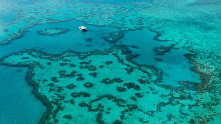 A hatodik tömeges korallfehéredés zajlik a Nagy-korallzátonyon