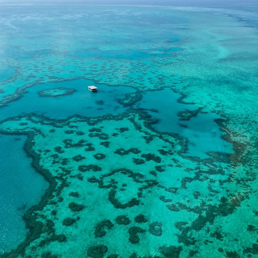 A hatodik tömeges korallfehéredés zajlik a Nagy-korallzátonyon
