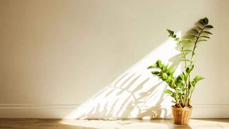 Javíthatják a beltéri levegő minőségét a szobanövények