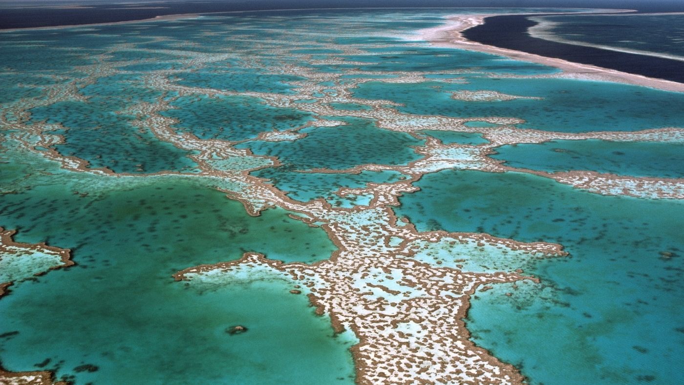 A Nagy-korallzátony 91%-át érinti valamilyen fokú fehéredés
