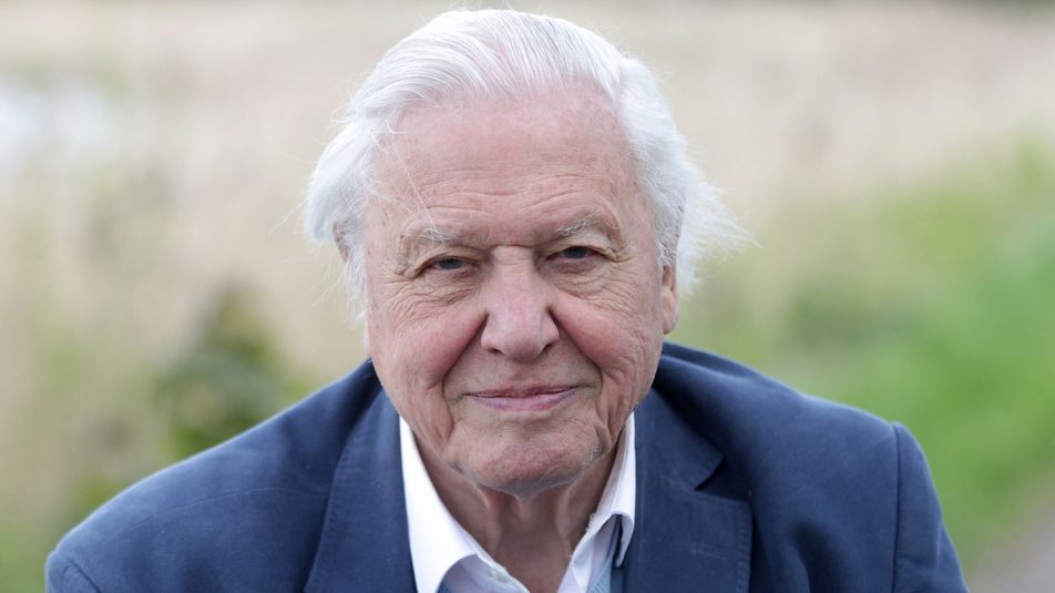 A wales-i hercegtől kapott kitüntetést David Attenborough
