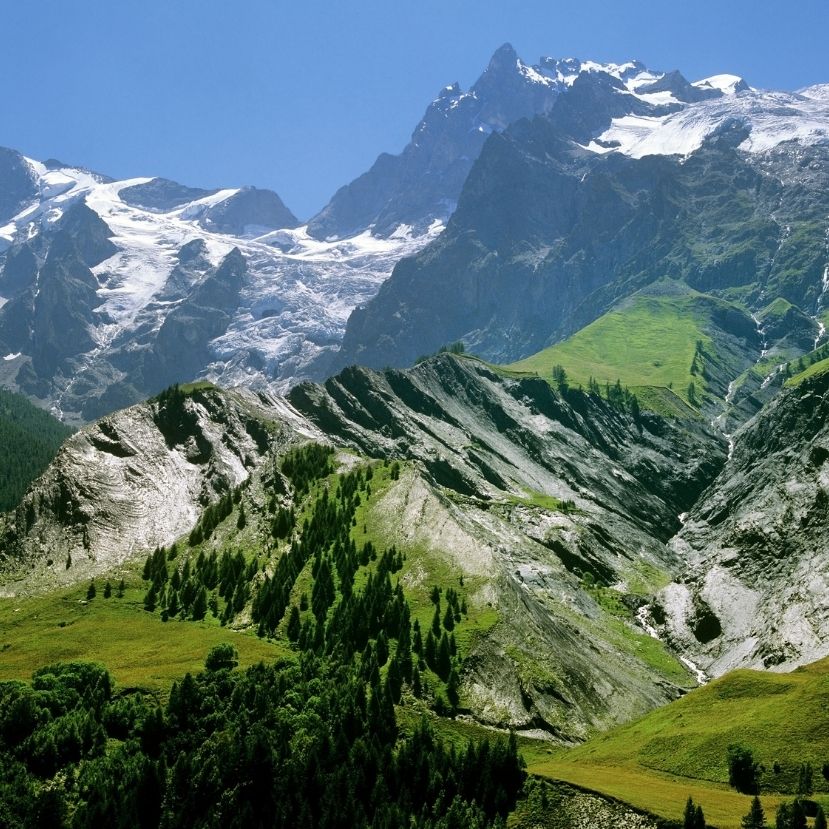 Egyre zöldebb az Alpok, ez azonban nem jó hír