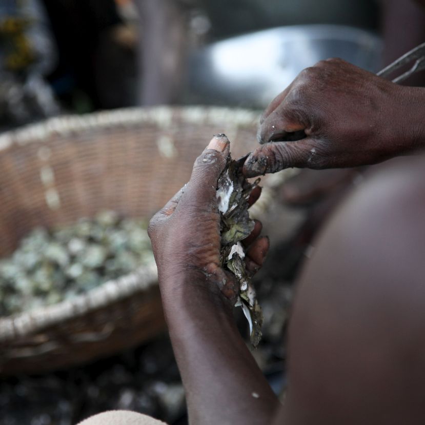 Így teszi tönkre a gambiai osztrigatenyésztőket a klímaváltozás