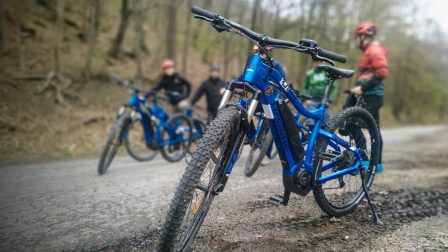 Nagyszabású erdei kerékpárút-felújításba kezd a Pilisi Parkerdő