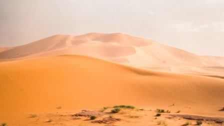 Harc a homokért – ez lesz a jövő?