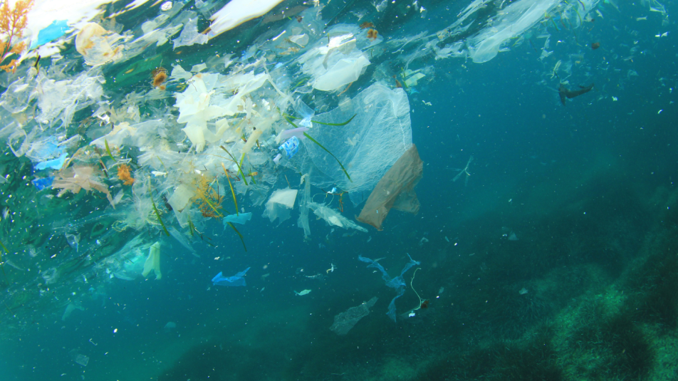Az óceánban található műanyagokkal szembeni harc
