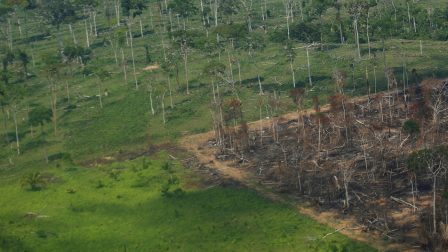 Újabb rekordot ért el az erdőirtás Brazíliában