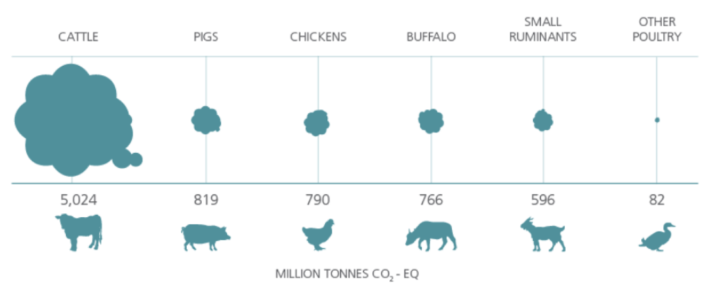a marhahús karbonlábnyoma a legmagasabb az állattenyésztés többi ágához viszonyítva