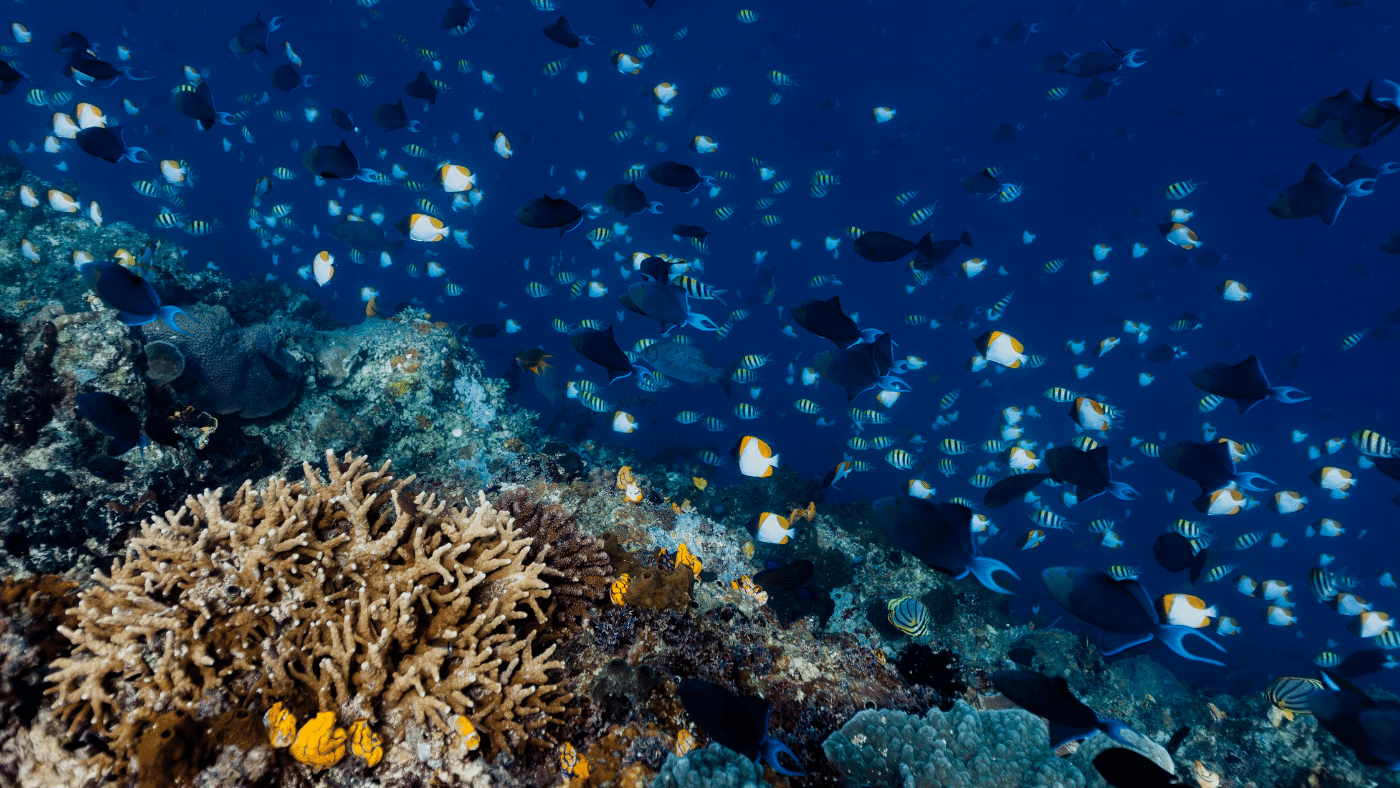 Az éghajlatváltozás által leginkább veszélyeztetett óceáni területek