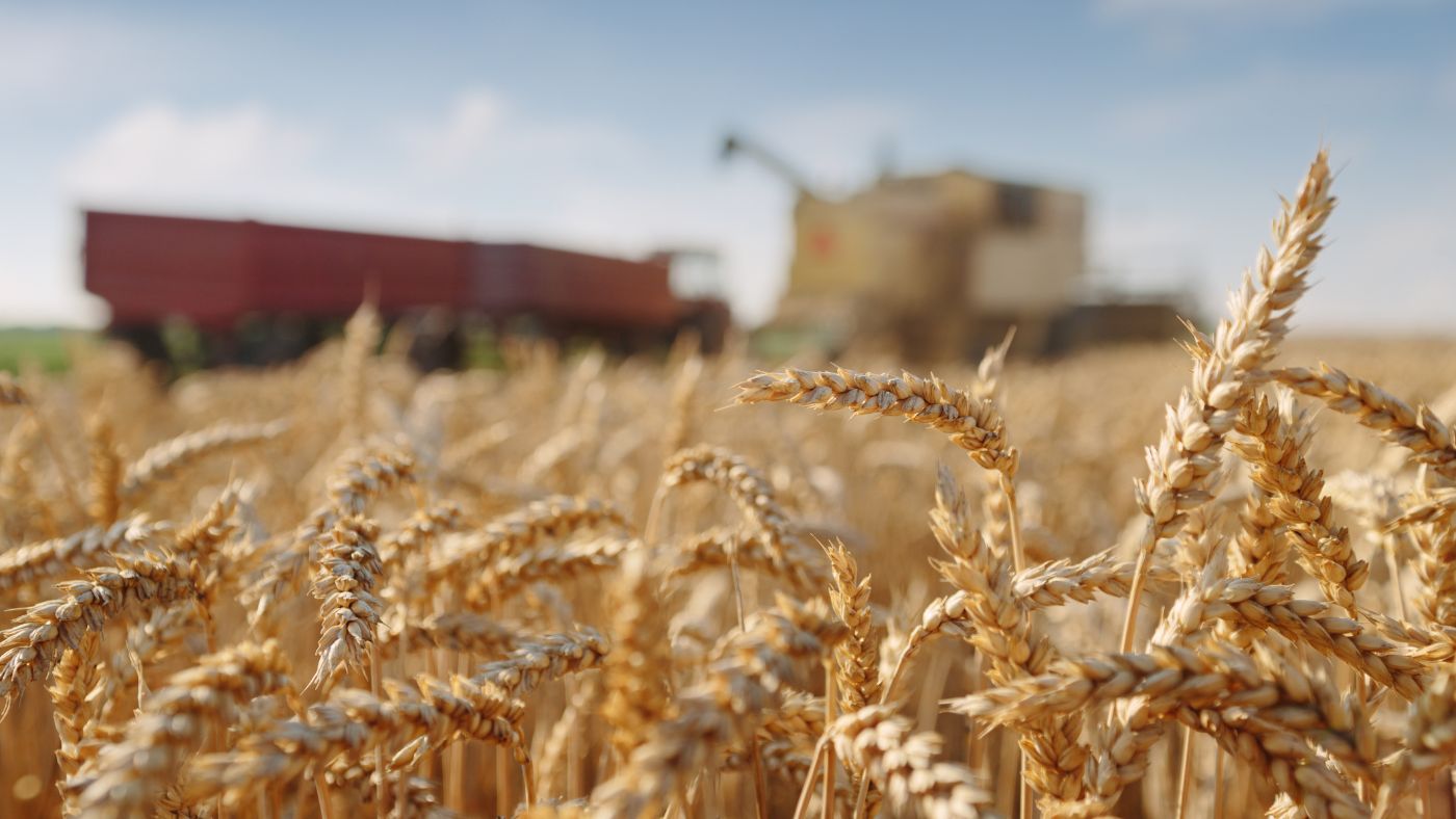 Az élelmezési válság küszöbén – Beszéljünk a gabonahiányról!