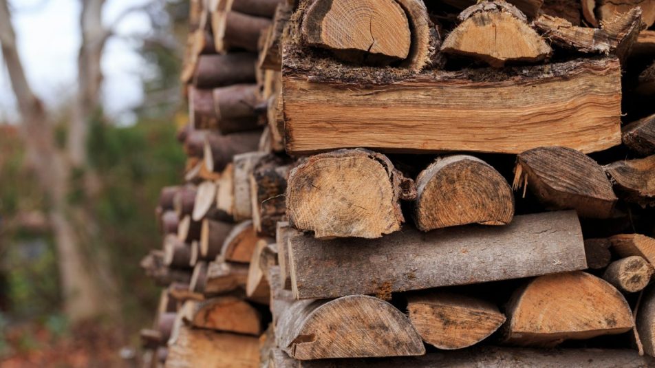 Egyre többen emelik fel a hangjukat a „tűzifa-rendelet” ellen