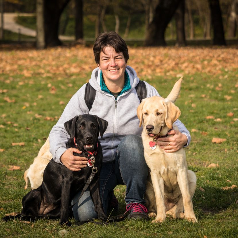 Állat és ember kapcsolatának csodája: vakvezető kutyák kiképzése – Interjú