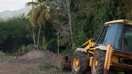 A mezőgazdaság felelős szinte az összes trópusi erdőirtásért