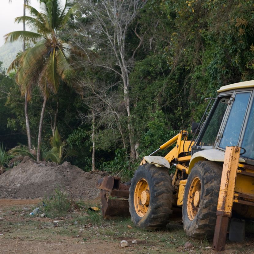 A mezőgazdaság felelős szinte az összes trópusi erdőirtásért