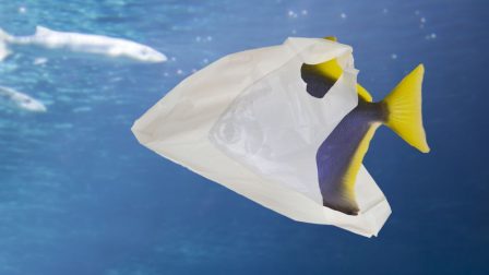 tengeri műanyagszennyezés
