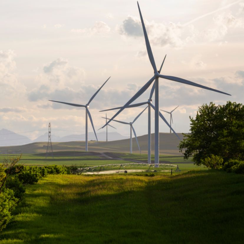 A megújuló energia az európaiak kedvenc megoldása az éghajlati válságra