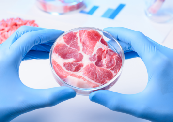 Dollármilliós befektetés a mesterséges húsok iparába