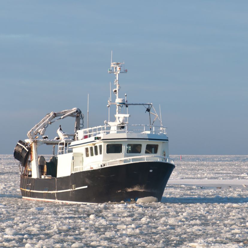 Az Antarktisz déli óceánján halászati korlátozásokat vezetnének be