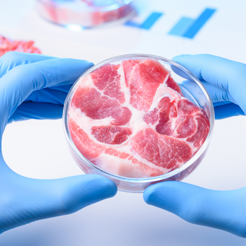 Dollármilliós befektetés a mesterséges húsok iparába