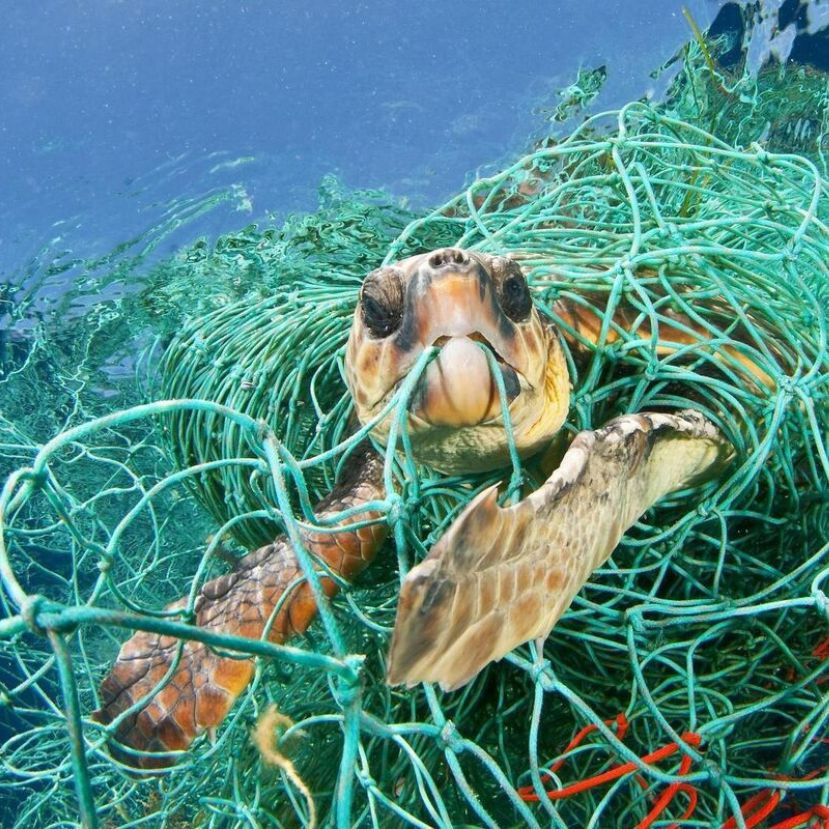 Az óceáni műanyaghulladékért az elveszett halászhálók a felelősek
