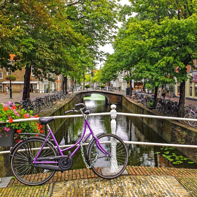 Hogyan vált Hollandia kerékpáros országgá?