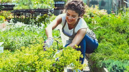 Hogyan lehet klímabarát a kerted? – Ajánló