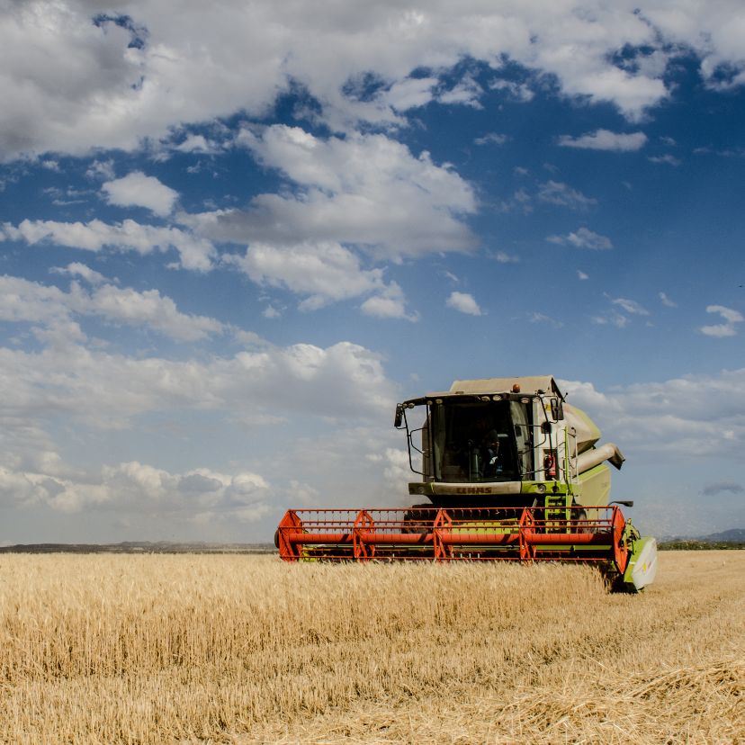 COP27: A mezőgazdaság kötelezettségvállalási összege elérheti a 8 milliárd dollárt