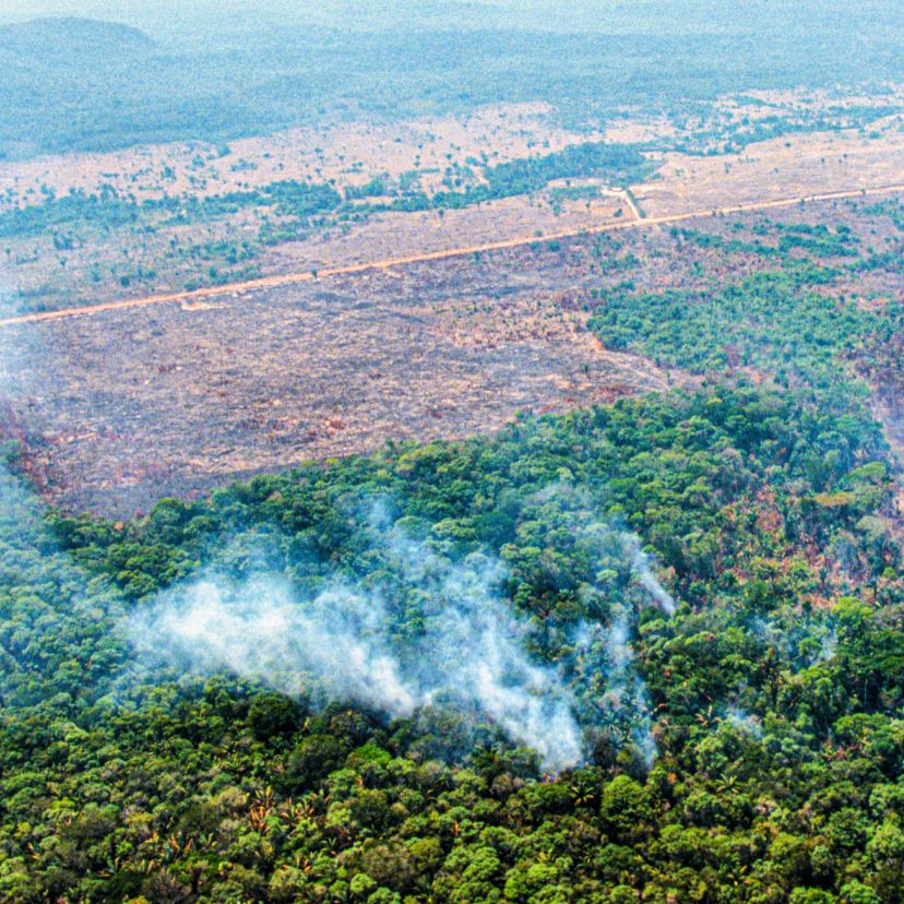 Az amazóniai tüzek főleg a mezőgazdasági tevékenységekkel kapcsolatosak