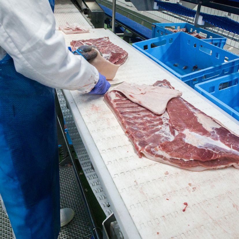 Az EU elmarad a metáncéloktól, egy tanulmány a húsfogyasztás korlátozására szólítanak fel
