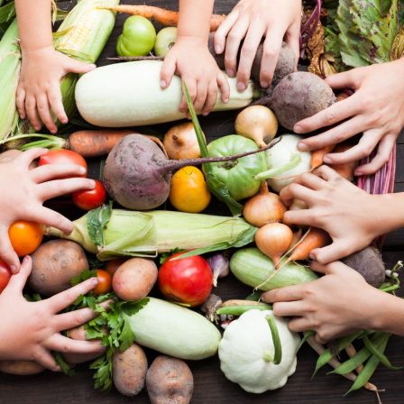 Egészséges élelmiszert csak az egészséges természet nyújthat – Podcast