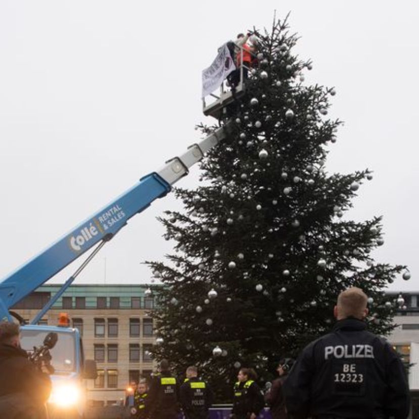 Berlin karácsonyfája a klímaaktivisták legújabb áldozata