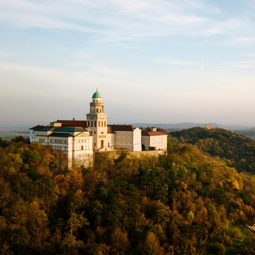 Rovarinvázió miatt átmenetileg bezár a Pannonhalmi Főapátsági Könyvtár