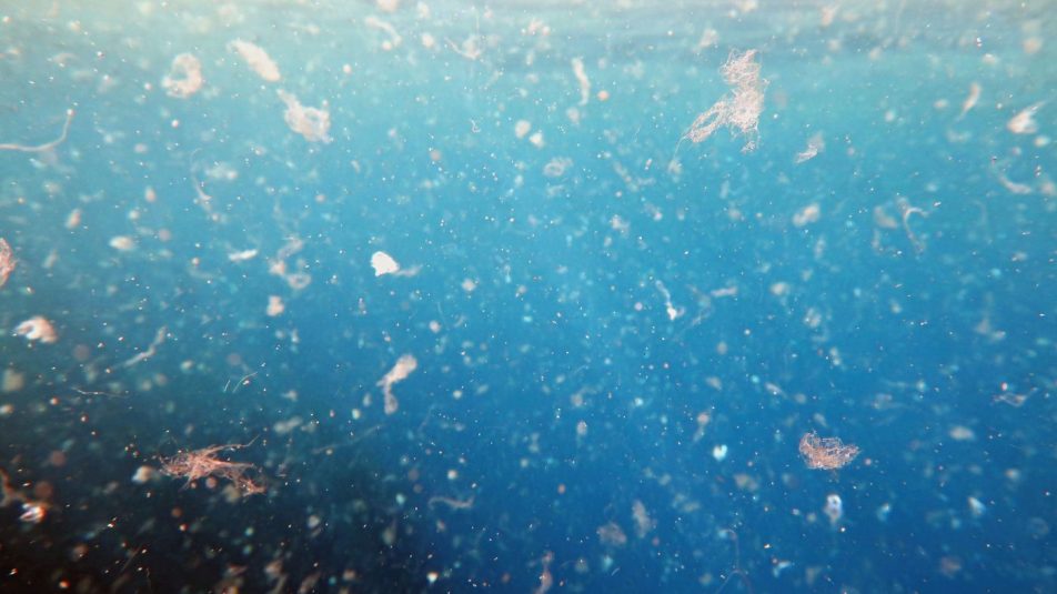 Mikroműanyagok a tengerben