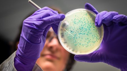 Mindenkinek van, de mindenkinek más: mi az a mikrobiom, és hogyan hat az életünkre?