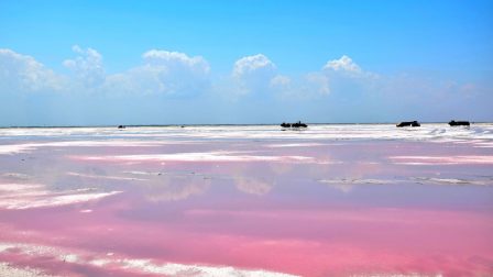 Rózsaszínű tenger