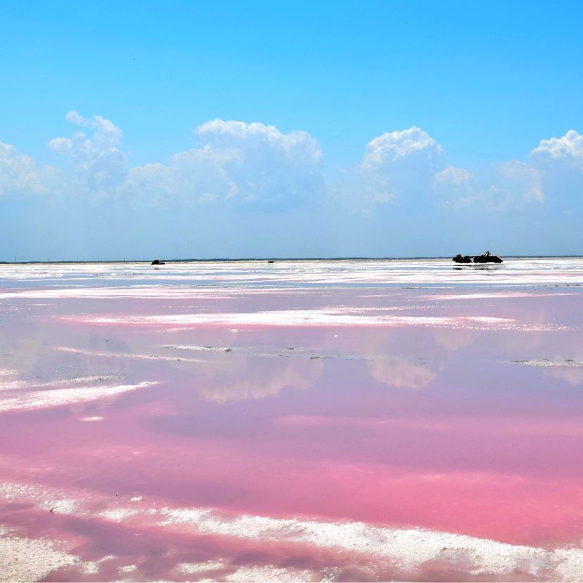 Rózsaszín festékkel végeznek kísérleteket a tengerparton