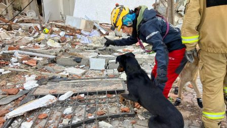 A magyar mentőcsapatok és négylábú társaik segítsége felbecsülhetetlenül értékes a földrengés sújtotta Törökországban