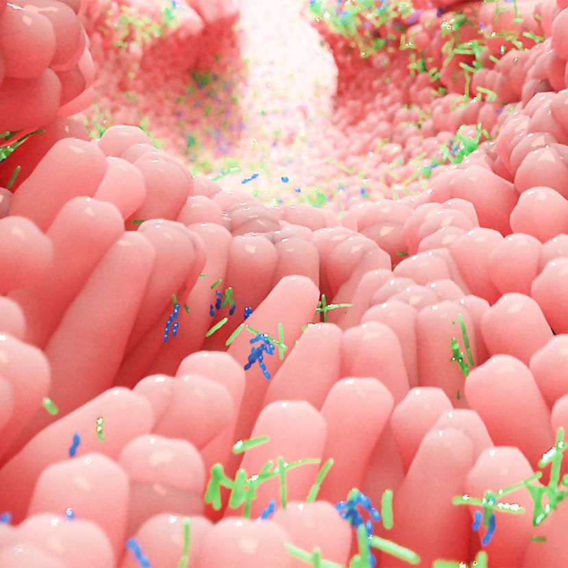 Az emberi test kitűnő táptalaja az antimikrobiális rezisztencia géneknek