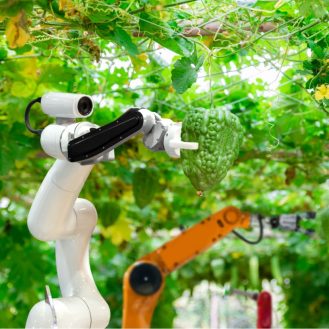 Kertészrobotot tervezett egy japán egyetem