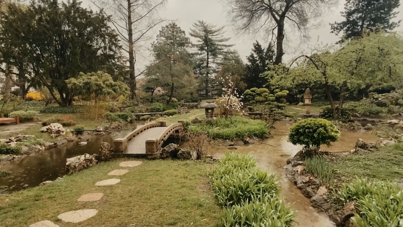 Zugló szívében bújik meg hazánk első japánkertje, amelyben száz esztendős növény- különlegességek élnek